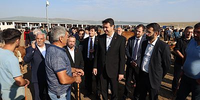 Mahmut Arıkan Kars Canlı Hayvan Pazarı’nda Üreticinin nabzını tuttu