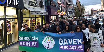 DEM Parti Kars’ta: